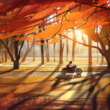 sunlight-fall-sunset-sky-motorcycle-road-825671-wallhere.com