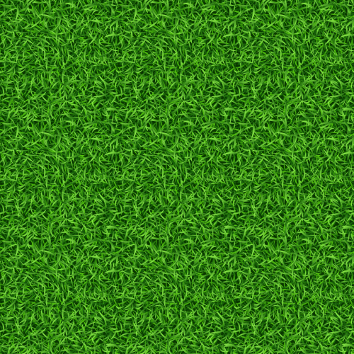 1601.m10.i311.n029.S.c10.164511620 Seamless green grass vector pattern